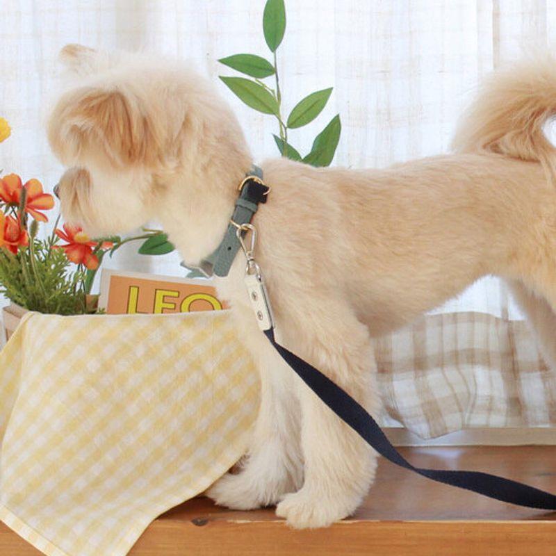 MAISON DE MIU Running Mate Leather&Webbing Lead_White/Navy