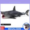 Figurine Premium de Mégalodon Requin Ancien Animal Sauvage Modèle en PVC Jouet Pour Collectionneurs