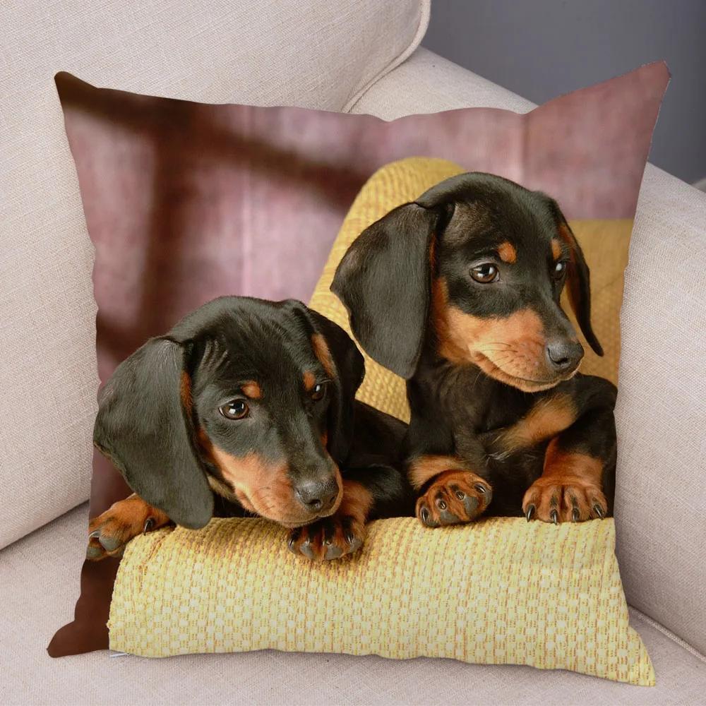 Mini Dackel Hund Kissenbezug Dekor Haustier Tier Kissenbezüge Superweicher Plüsch Kissenbezug für Sofa Zuhause Kinderzimmer 45x45cm