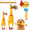 Câini – Jucării pentru câini