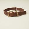 We Original All Leather Collar Brown GOOD MANNERS DOG SERIES - (L) /
