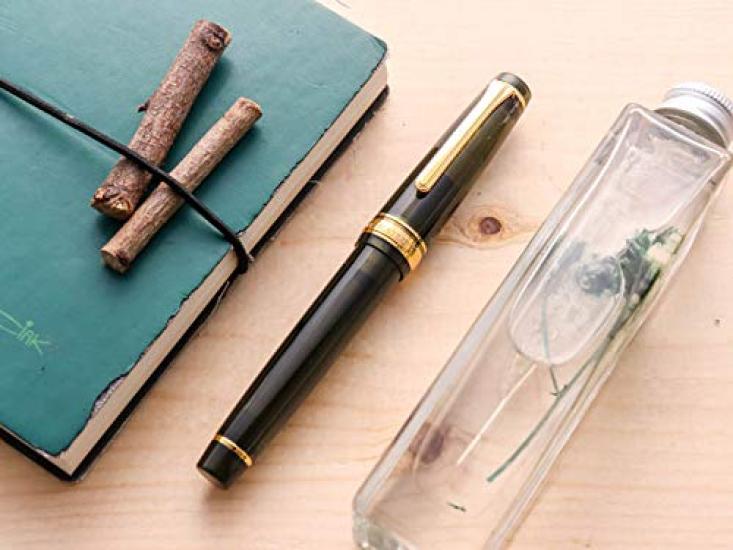 WANCHER Limited Edition SAILOR Original Professional Gear Champagne Dark Green 21K Gold Fountain Pen Special Medium [WANCHER Edition] (M Nib)