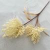 Artificial Phragmites Australis Plant Plastic Fake Flower Living Room Decoration