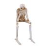 Realistic See Speak Hear No Evil Skeleton Statue Halloween Statues Skeleton Shelf Sitter Figurines Crafts Halloween Party Decor