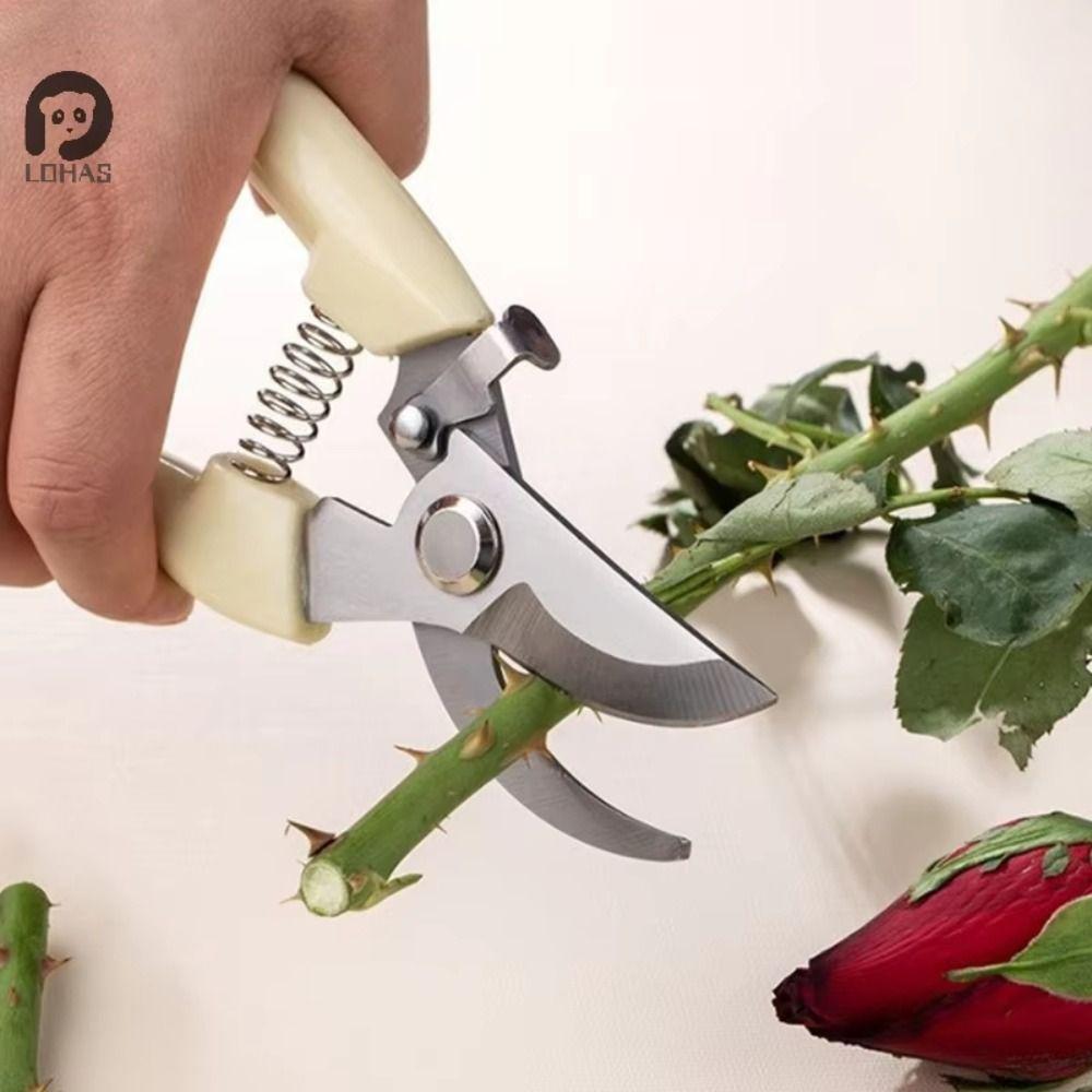 Stainless Steel Garden Scissors Branch Cutter Cutting Tool Kits Garden Grafting Tool Plant Shears Grafting Pruner