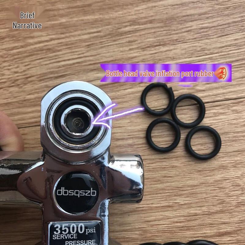 Scuba Diving Tank Valve O-Ring & Seal Kit