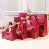 ZISIZ Large Paper Gift Bag for Clothing