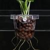 Panier de plante hydroponique transparent support de plante d'aquarium suspension supérieure pot de fleur d'aquarium tasse de pot de fleur d'aquarium