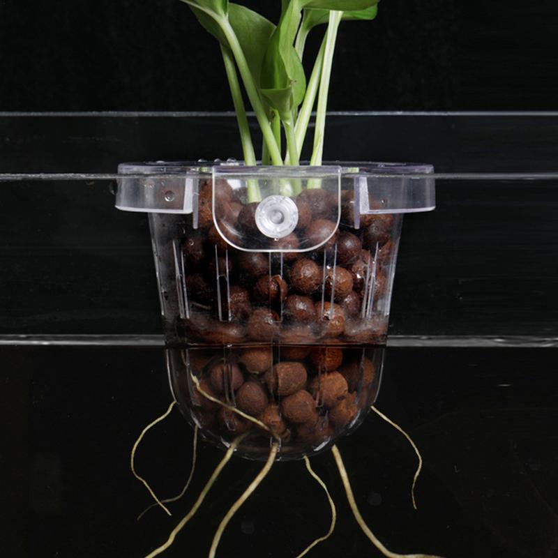 Panier de plante hydroponique transparent support de plante d'aquarium suspension supérieure pot de fleur d'aquarium tasse de pot de fleur d'aquarium