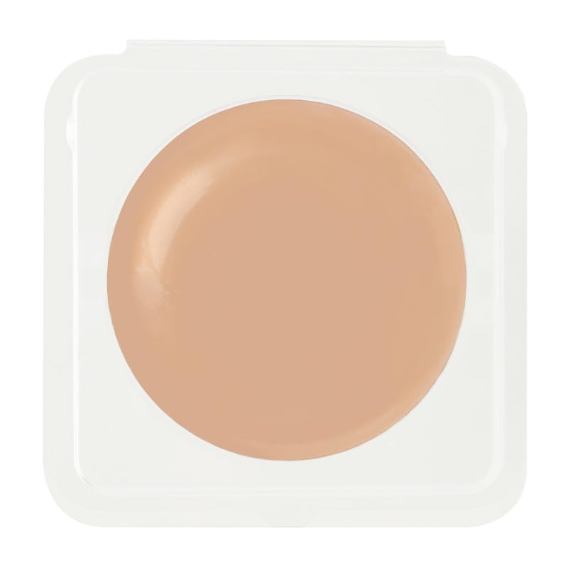 V Skin Fix Foundation Sold 10g (case Separately) SPF40/PA+++ (Natural, Refill)