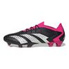 adidas Predator Accuracy.1 Low FG Own Your Football Pack Unisex Sneakers Black Core-Black Cloud-White GW4577