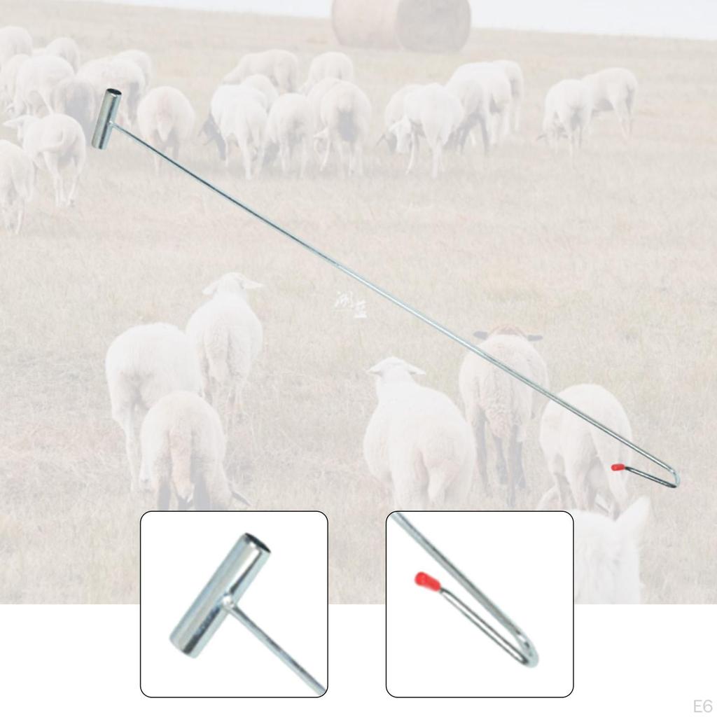 Chytací kleště na ovce Farmářské vybavení Těžká zátěž pro zvířata Zahrada Hospodářská zvířata