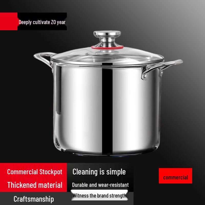 Sule 304 Stainless Steel Tri-Ply Stew Pot with Glass Lid, 24cm