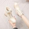Xiaoxiangfeng short boots women's autumn and winter 2025 new Korean version high-heeled women's boots versatile Martin boots thick and single boots