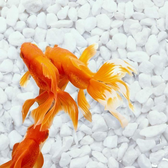 Gravier Décoratif - Mélange de Cailloux Décoratifs Environ 1,2 cm - Gravier Blanc pour Pots de Fleurs, Plantes, Jardinières, Bols