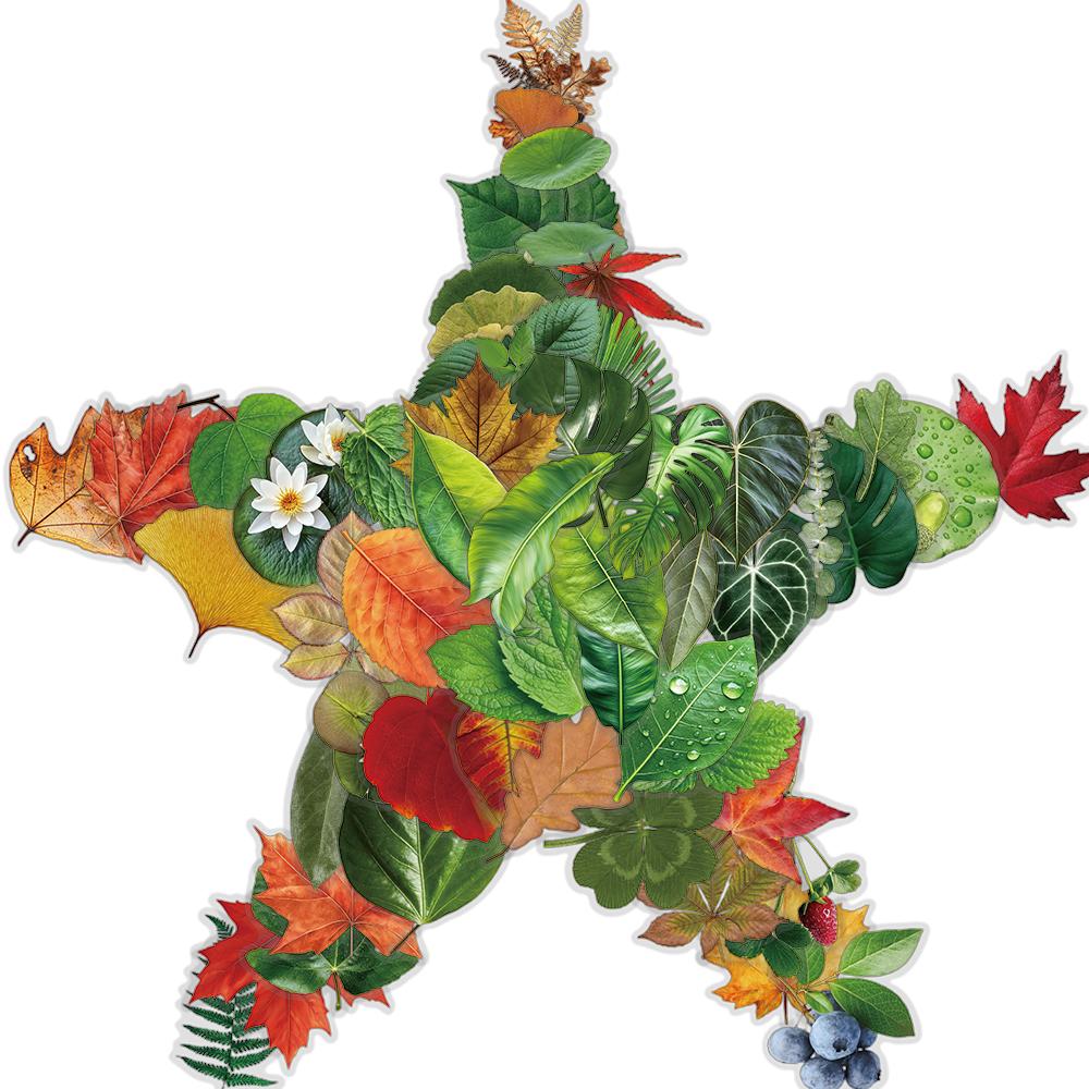 

50/100PCS Ins Wind Leaves Stickers DIY Personalized Waterproof Laptop Luggage for Gifts Phone Cartoon Gifts Motorcycles Sticker