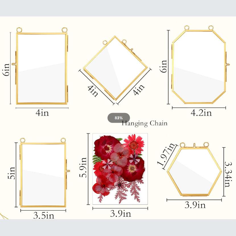 European Vintage Metal Glass Photo Frame: Antique Design for Pictures or Plant Specimens