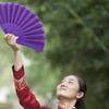 Plastic Bone Dance Fan Tai Chi Fan Yoga Kung Fu Performance Hand Folding Stage Fan Chinese Chinoiserie Wedding Party Decor