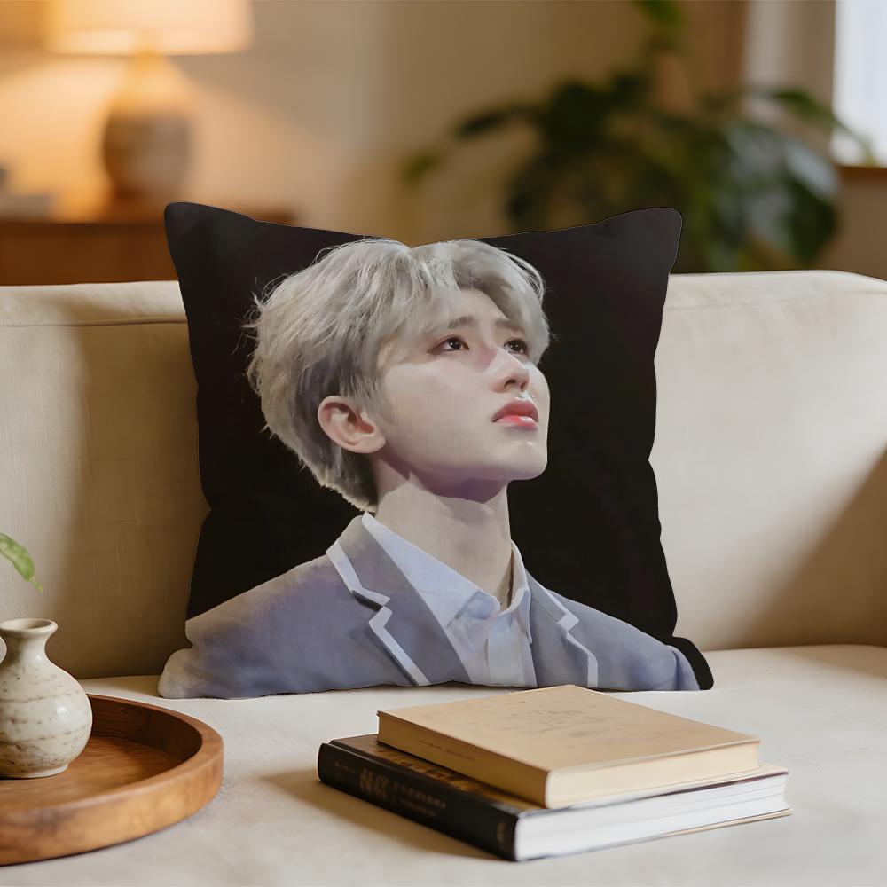 

Hot Singer Cai XuKun Ikun Cushion Cover Short plush pillowcase for bed sofa carwashable 30x30cm