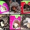 Herausnehmbare Hundehütte Winter Haustierhaus mit Kissen Erdbeere Faltbares Haustierbett Welpenhöhle Kleines und Mittleres Haustier