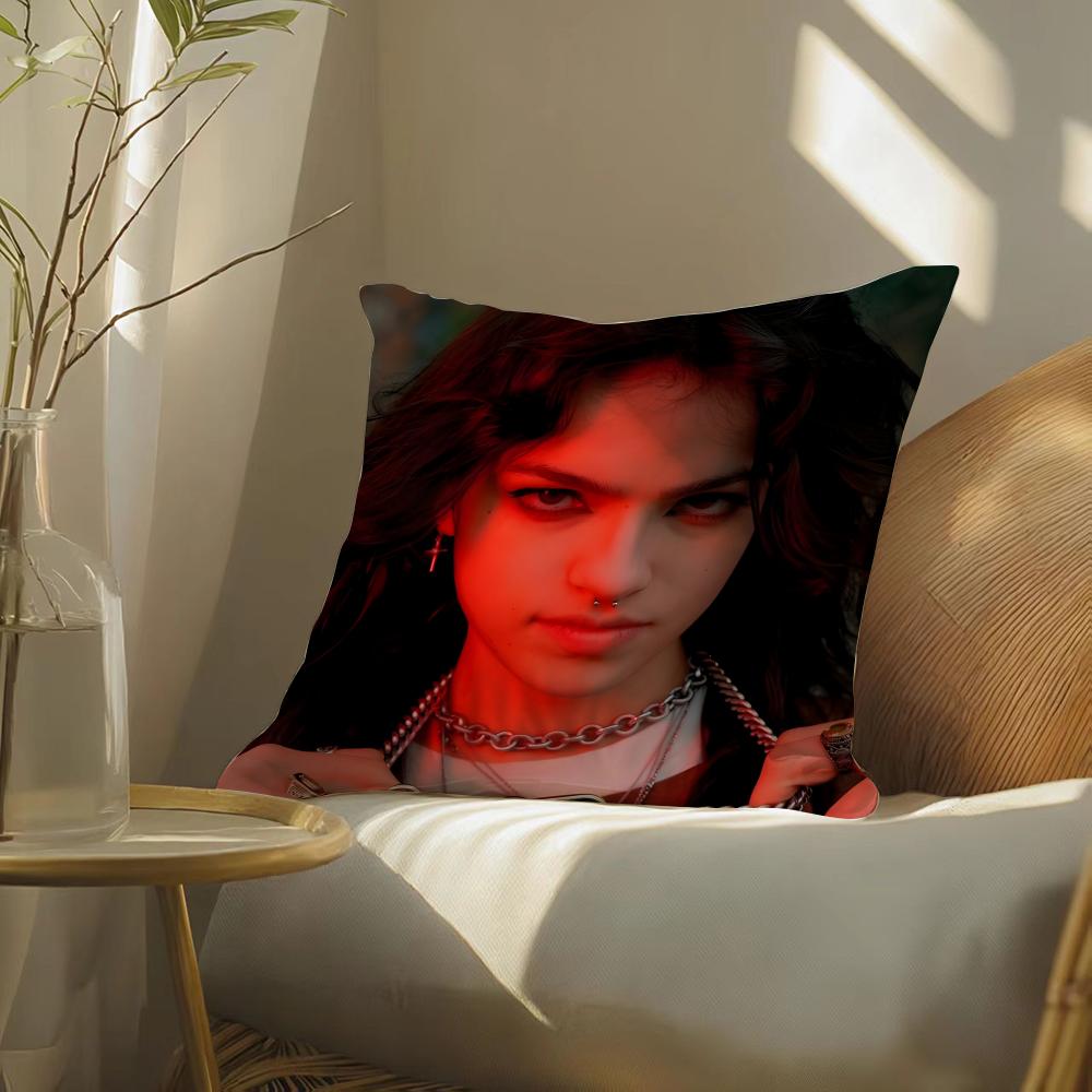 Singer Ari Abdul Pillow Case Silky Elegant Comfort Sofa Bed Invisible Zipper