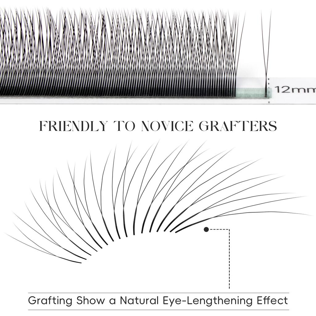 Befer Natural False Eyelashes 2d Narrow 0.07/0.10 Super Soft Eyelash 8-15mm Lashes Extension Supplier High Quality Wholesale