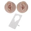 Ear Model Soft Silicone High Simulation Clear Structure Human Ear Model for Piercing Practice