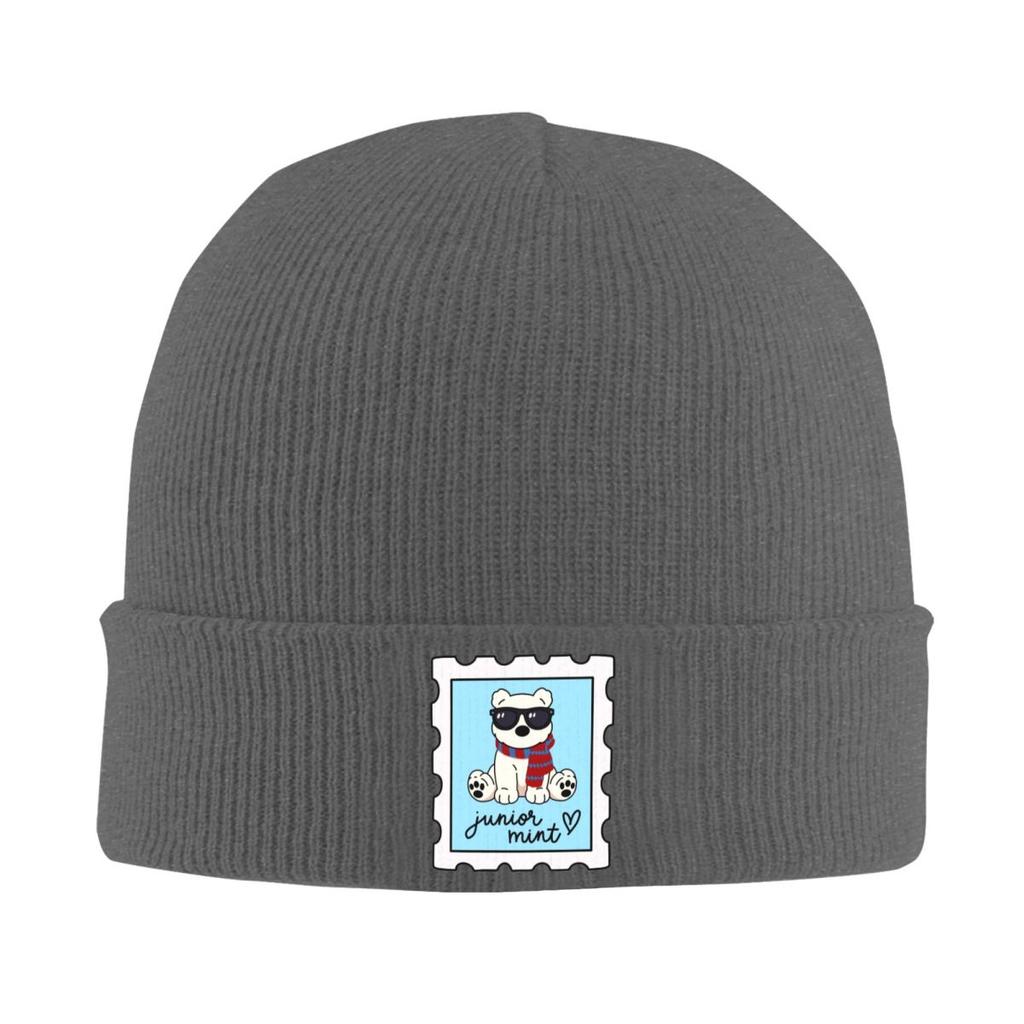 Team Conrad Junior Mint Bear Warme Strickmütze Winter Strickmütze Beanie Hip Hop Kappen für Unisex