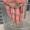 Galvanized Wire Mesh Roll