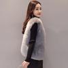 Imitation Fur Vest Autumn and Winter New Women's Coat Short Vest Imitation Fox Fur Vest