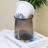 Indoor Easy-Care Desktop Plants