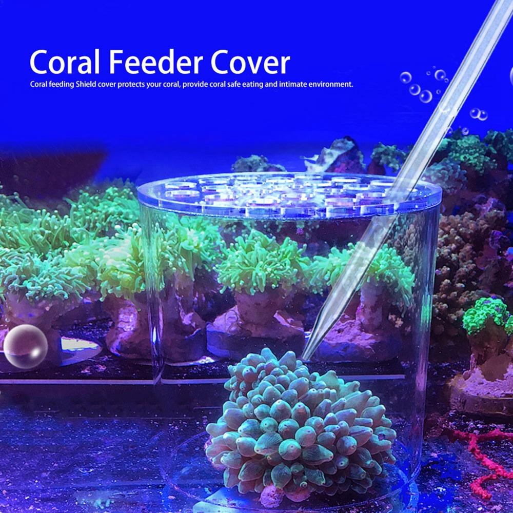 Acrylic Coral Feeder Cover Anti Feeding Shrimp Multiple sizes available Fish Tank Cover Transparent Breeding Protection Cover