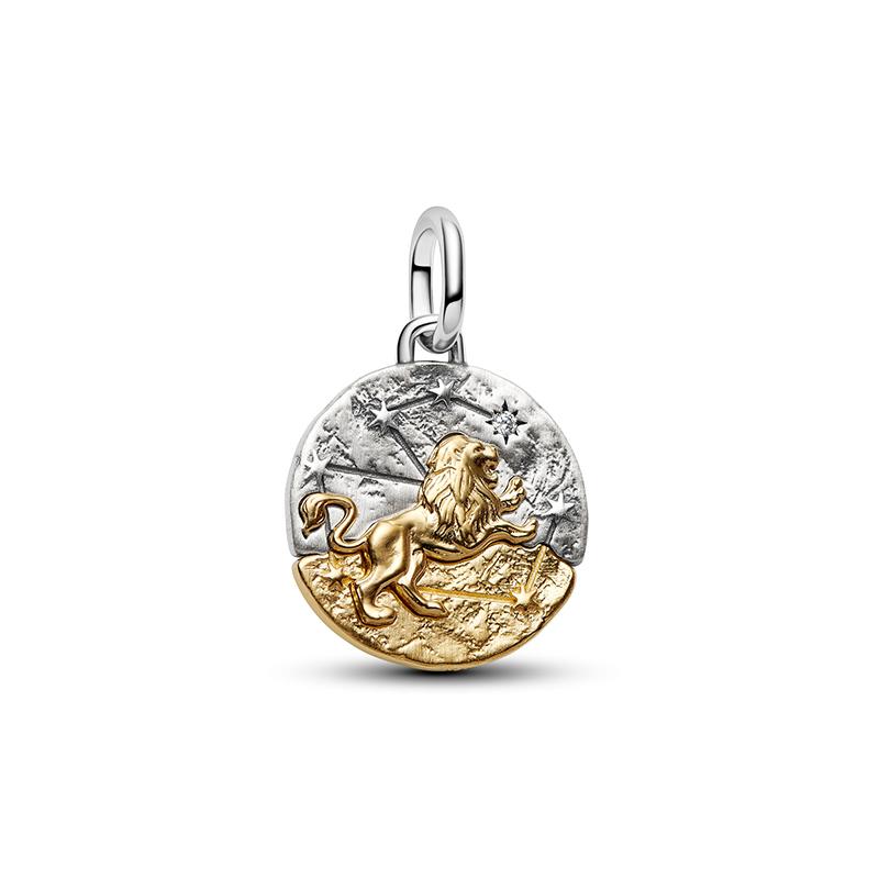 New 925 Silver Summer Coin Twelve Constellation Carving Hang Tag Charm Beads Suitable for Bracelets, Necklaces, Fashion Jewelry