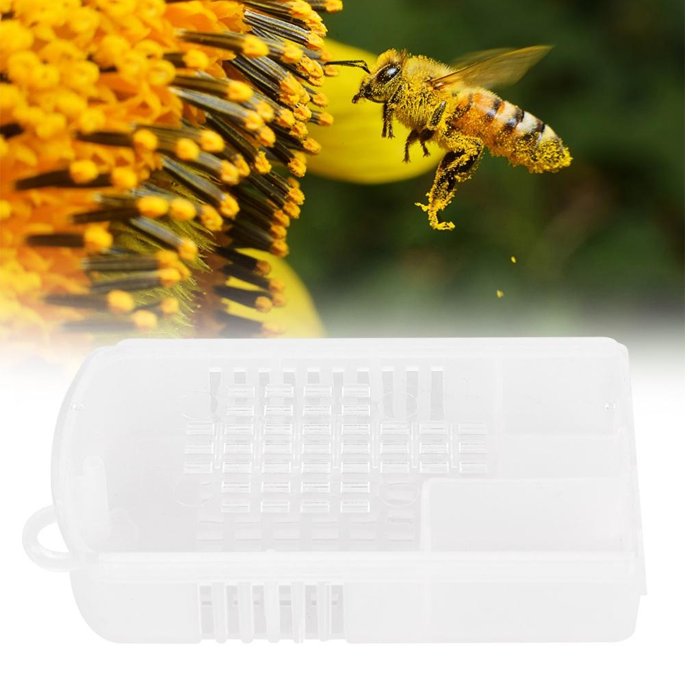 5Pcs Transparent Plastic Queen Bee Cage Beekeeping Tool Equipment Accessories