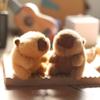 PP Cotton Kapybara Fluffty Animals Keyring Plush Cartoon Stuffed Car Key Ring  Kid Girl Boy