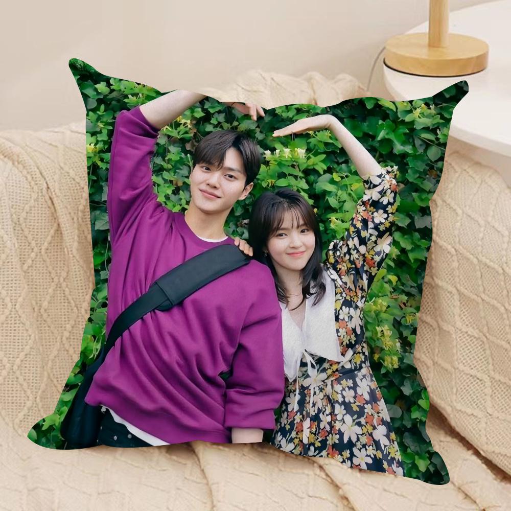 TV series NNevertheless Cushion Cover Silky Short Plush Sofa Pillow Cover Hidden Zipper Soft Dustproof Case for Home Decor