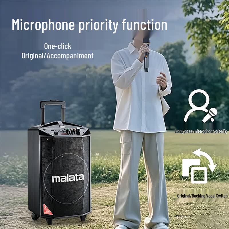 Malata L12 Professional Portable Bluetooth Speaker with Dual Wireless Microphones (CN Version)
