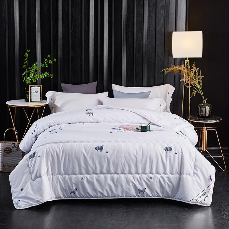 

Tianqin Thick Winter Double Quilt