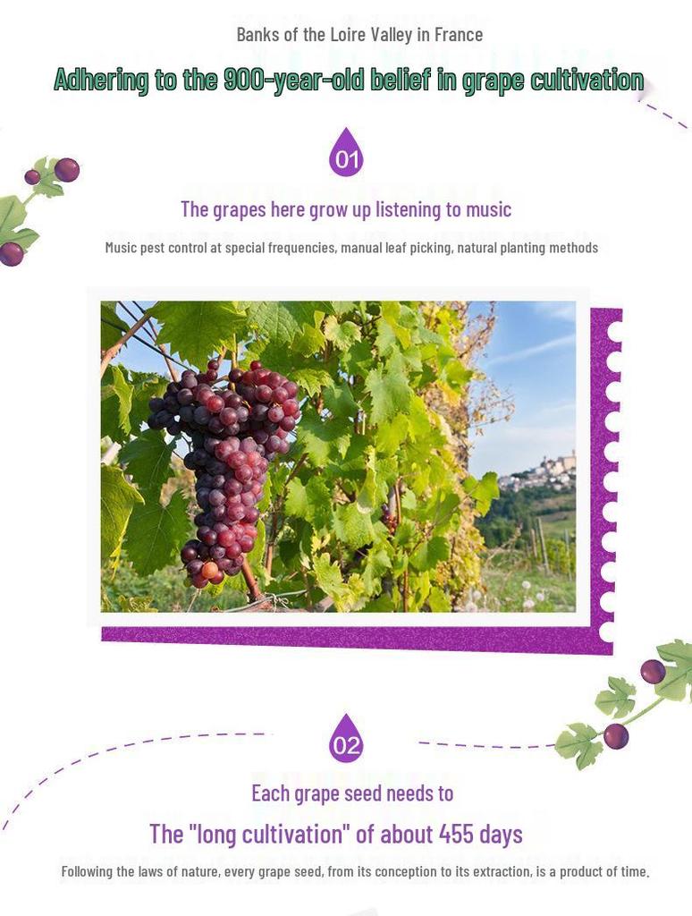 Tangchen Beijian Grape Seed Vitamin C & E Tablets - 60 Count, Authentic Pharmacy-Grade Product