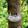 Ptáci – Ptačí krmítka a pítka