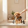 Front Leg Dog Wheelchair Padded Pet Front Leg Wheelchair Mobility Cart Comfortable Long-Lasting for Disabled Dogs