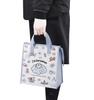 Skater Lunch Insulated Lunch Doraemon Sky Sanrio Bag, Non-Woven Fabric, Bag, Walk, FBC1-A