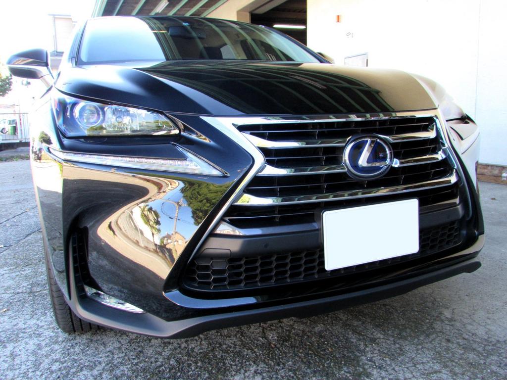 BRIGHTZ NX300h AYZ10 AYZ15 Early model Chrome front grille molding AYZ Z10 Z15 10 15 NX300 NX X300 300 LEXUS 21799 [GRI-COV-M-009]
