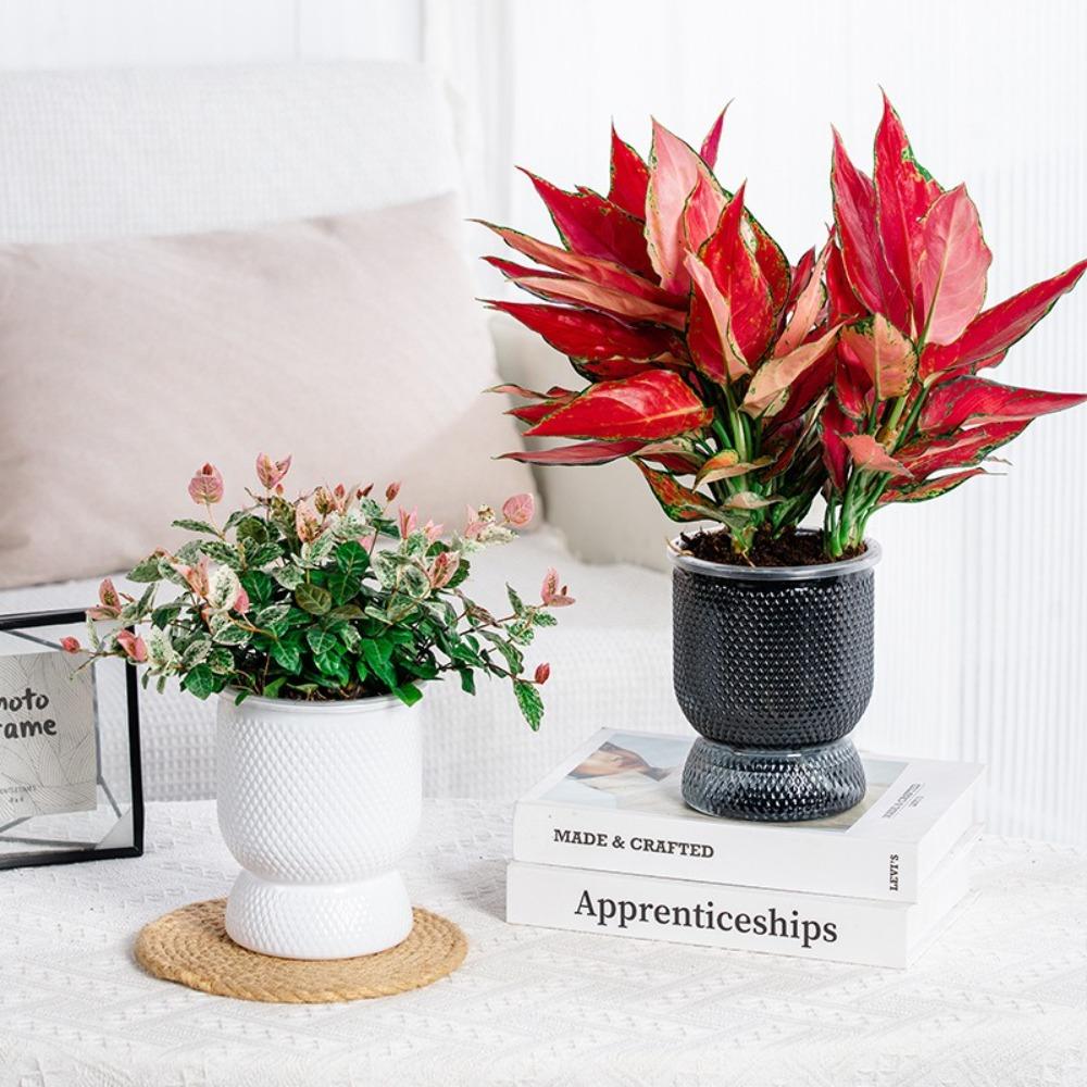 

Самополивающийся гидропонный горшок для растений, пластиковый мини-кашпо для суккулентов, настольная ваза, цветочный горшок