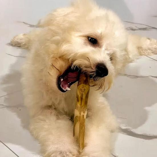 Dog Chew Sticks Natural Coffee Wood Bite-Resistant Teething Toy for Puppies to Large Dogs for Teeth Cleaning Fresh Breath Anxiety Relief