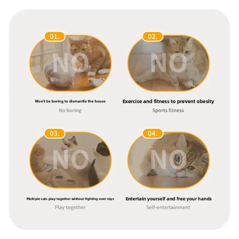 Cat Toys Interactive Hide and Seek Cat Toy with Mouse Squeaky Motion Activated Moving Concealed Feathers Kitten Teaser Toy