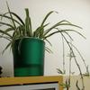 Succulent plant Hydroponics Watering Planter Self Watering Flower Pot Lazy Flowerpot Self-watering