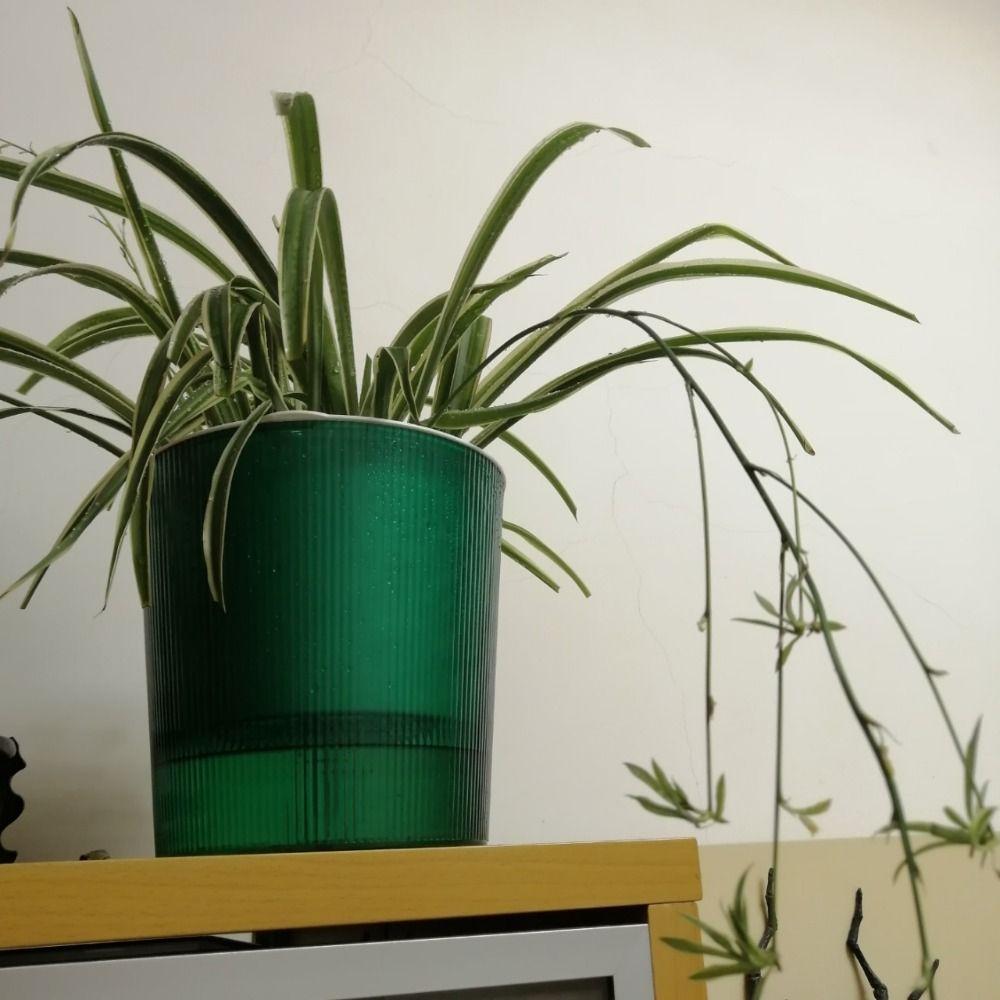 Succulent plant Hydroponics Watering Planter Self Watering Flower Pot Lazy Flowerpot Self-watering