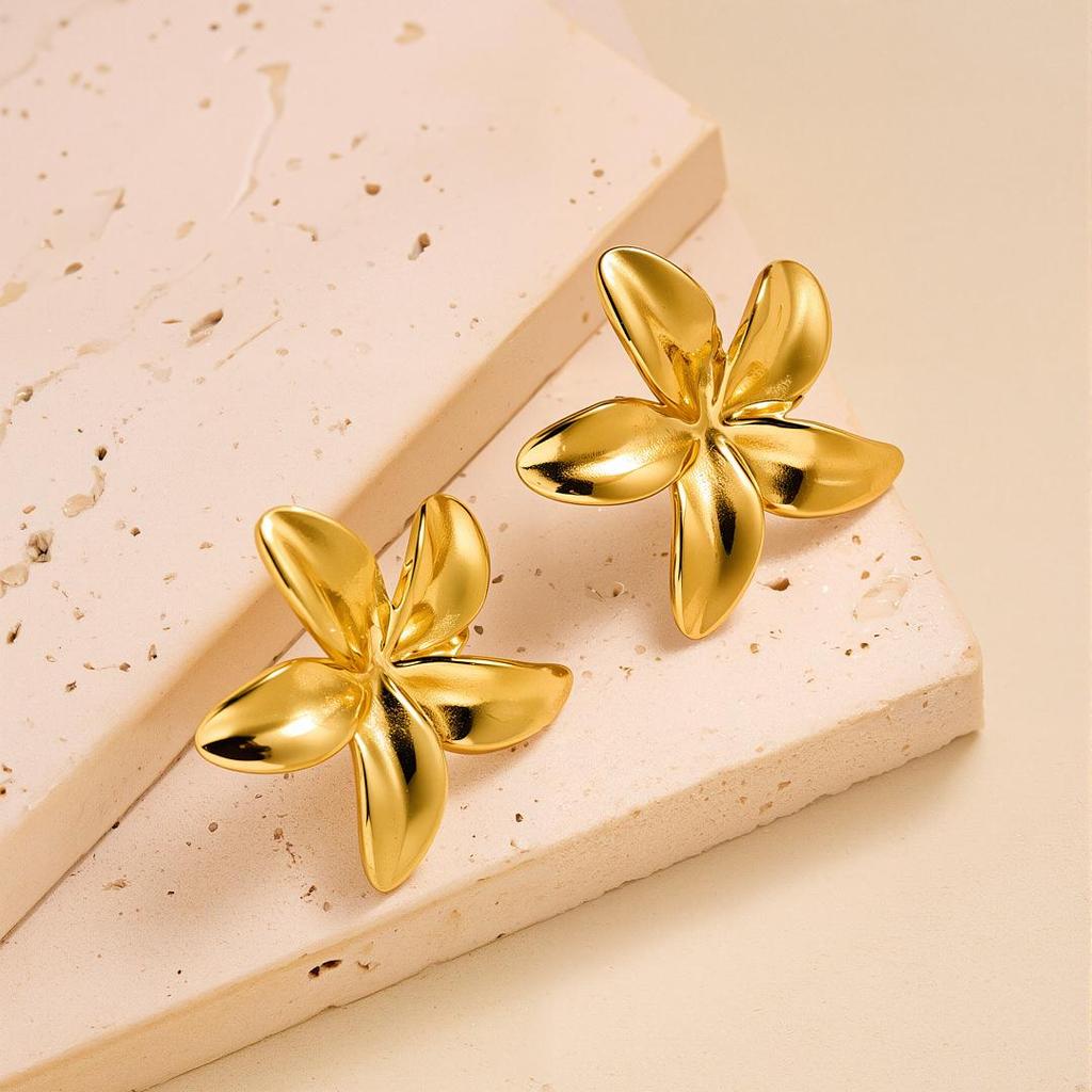 Geometric Irregular 18k Gold Titanium Steel Earrings for Women
