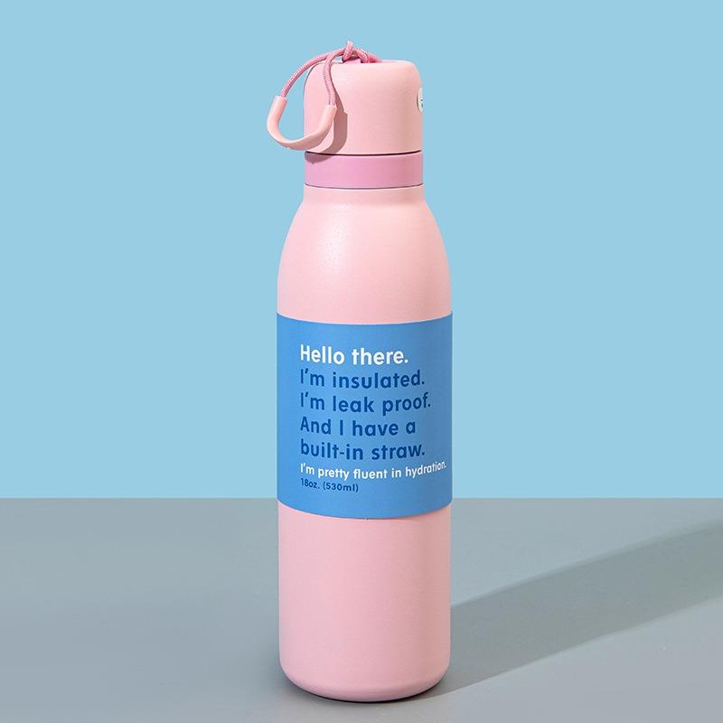 1pcs Minimalist 304 Stainless Steel Insulated Bottle with Straw Dual-use Portable Sports Travel Water Cup 500ml